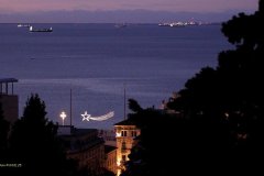 MG_0582