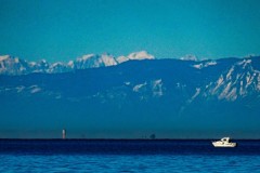 th-DSC06154