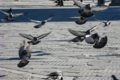 IMG_3592