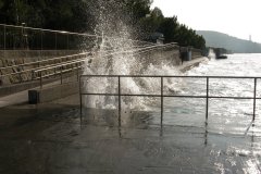 IMG_3963