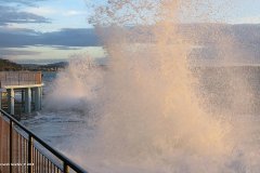 IMG_4183