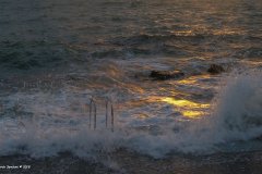 IMG_4214