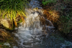 MG_6742