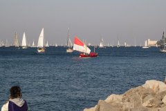 MG_7433