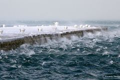 IMG_9902