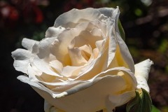 tn_05181035