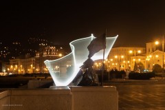 tn__MG_1512
