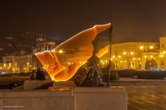 tn__MG_1527