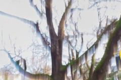tn_03063994