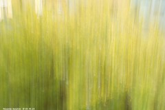 tn_03204218