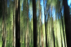 tn_0P180716