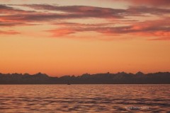 tn_DSC05080