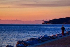 tn_DSC05114