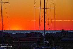 tn_DSC05205