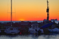 tn_DSC05206