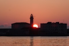 tn_DSC05250