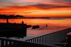 tn_DSC05304