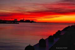 tn_DSC05308
