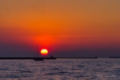 tn_P1062047