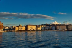 tn_02013473