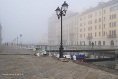 tn_02240403