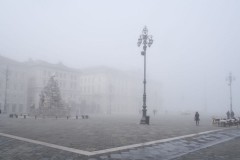 tn_02240414