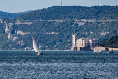 tn_08242342
