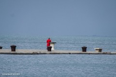 tn_DSC02988