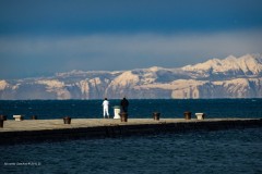 tn_DSC04934