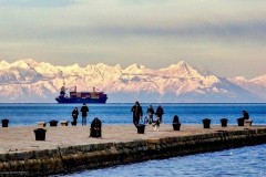 tn_DSC05167