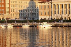 tn_DSC05247