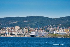 tn_IMG_6061