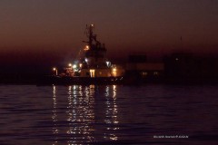 tn_02133768