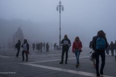 Nebbia