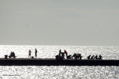 DSC00848