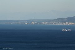 tsac37