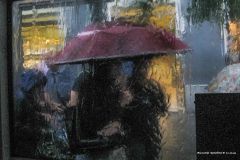 IMG_5017