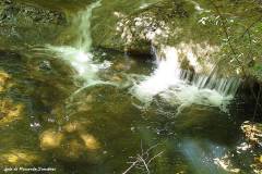 sa55