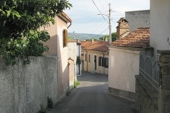 ser08