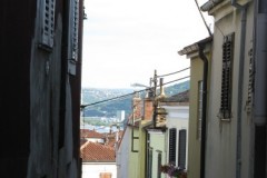 ser29