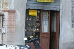ser31