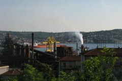 ser46