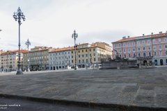 IMG_4530