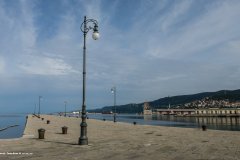 IMG_4550