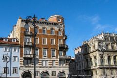 IMG_5541
