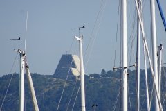 DSC00260