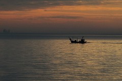 tsab55