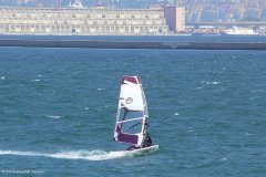 ws25